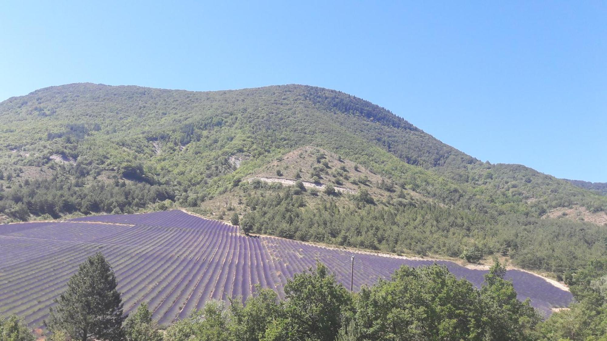 Gite En Haute Provence Montfroc Exterior foto